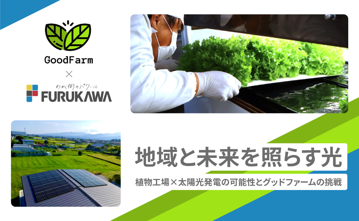 地域と未来を照らす光。植物工場×太陽光発電の可能性とグッドファームの挑戦